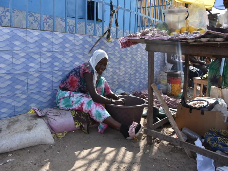Singlereis Zon, Zee en Strand in Gambia 