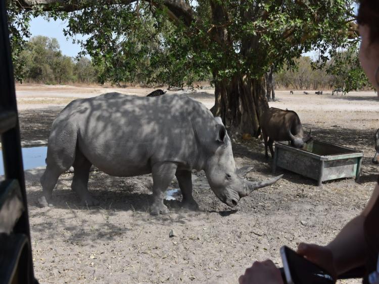Singlereis Zon, Zee en Strand in Gambia 