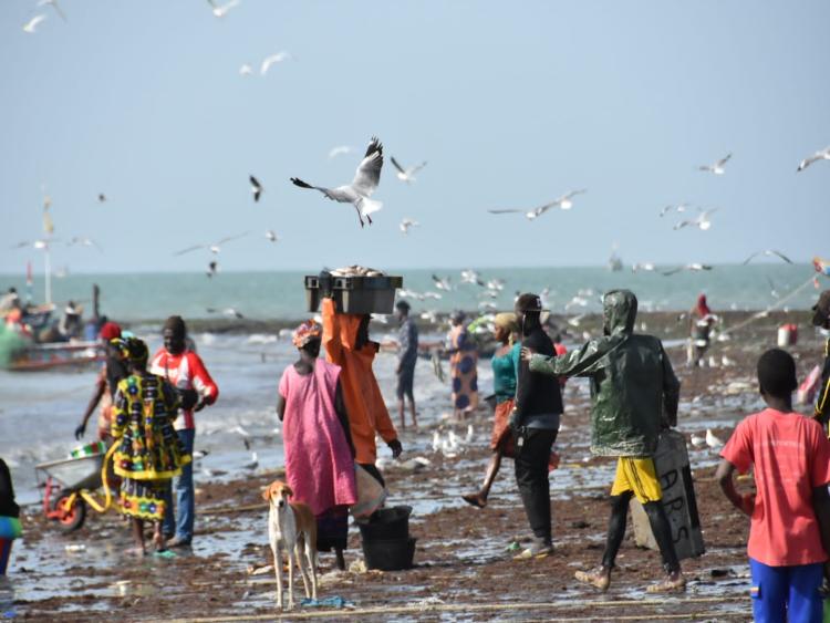 Singlereis Zon, Zee en Strand in Gambia 