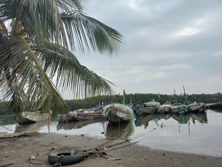 Singlereis Zon, Zee en Strand in Gambia 