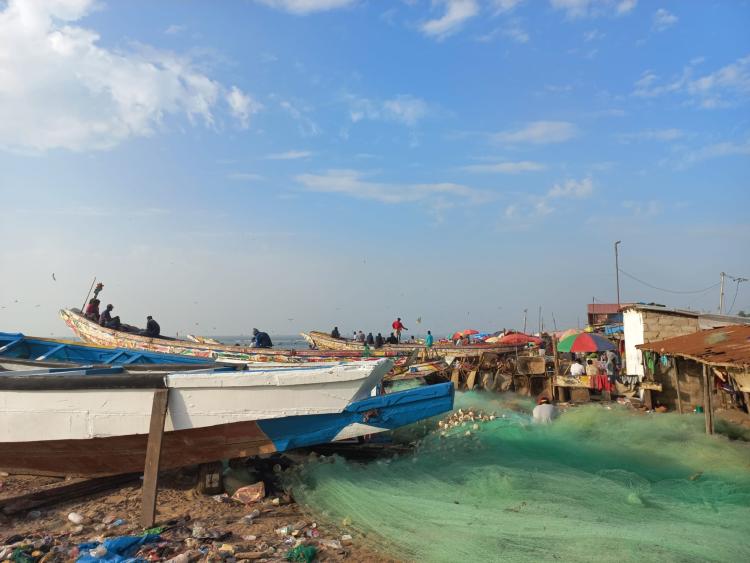 Singlereis Zon, Zee en Strand in Gambia 