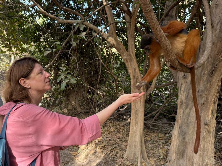 Singlereis Zon, Zee en Strand in Gambia 