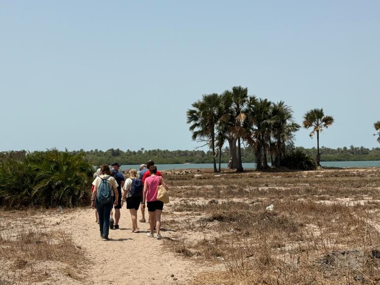 Singlereis Zon, Zee en Strand in Gambia 
