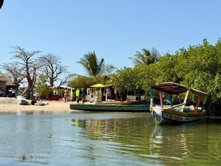 Singlereis Zon, Zee en Strand in Gambia 