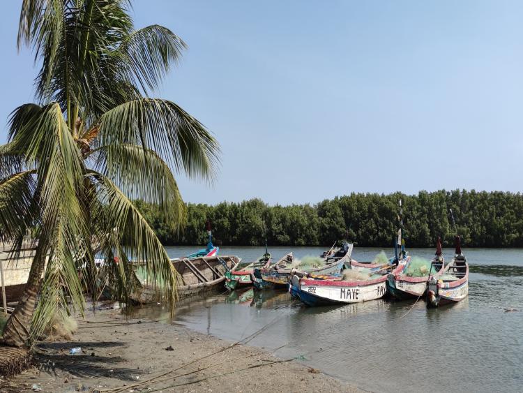Singlereis Zon, Zee en Strand in Gambia 