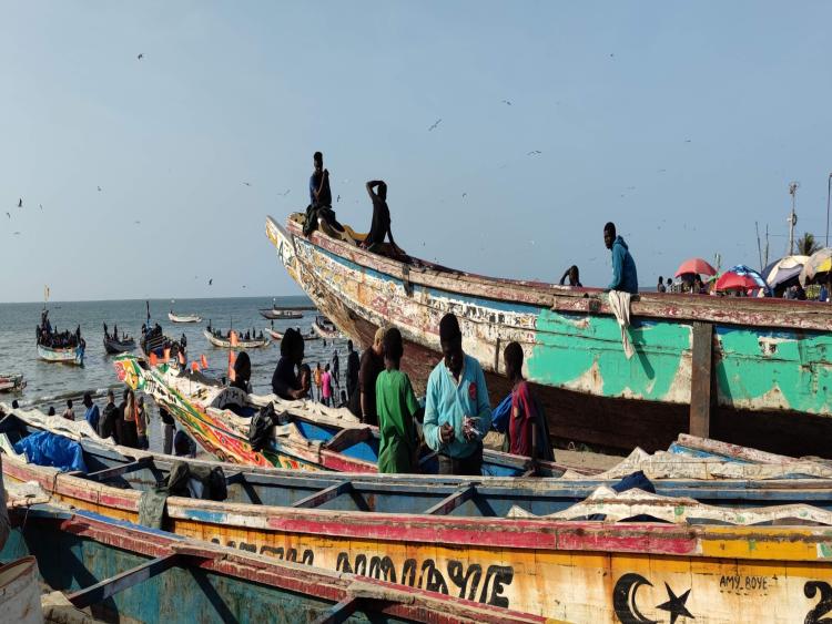 Singlereis Zon, Zee en Strand in Gambia 