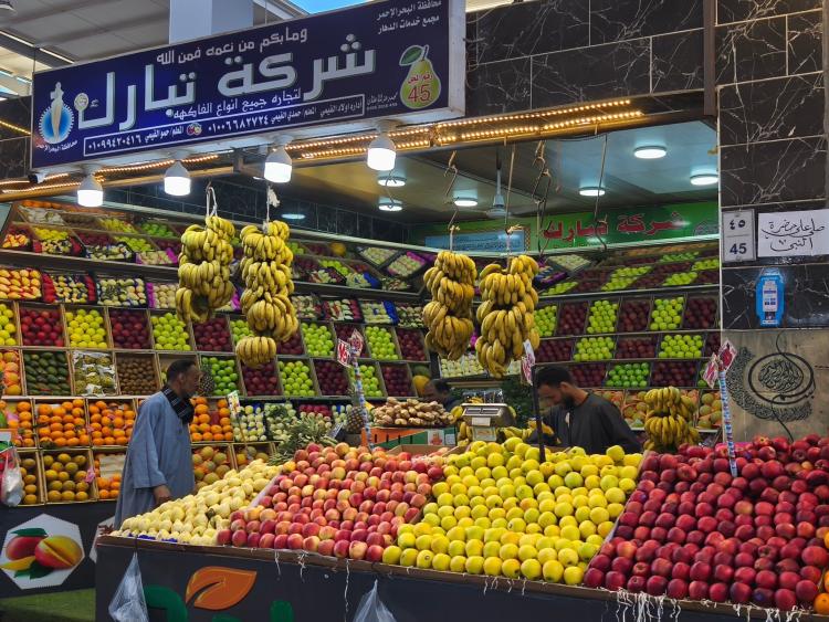 Singlereis Zon, Zee en Strand 'Hurghada' Egypte