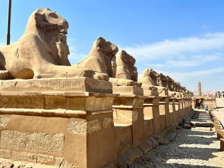 Singlereis Zon, Zee en Strand 'Hurghada' Egypte