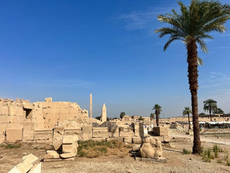 Singlereis Zon, Zee en Strand 'Hurghada' Egypte