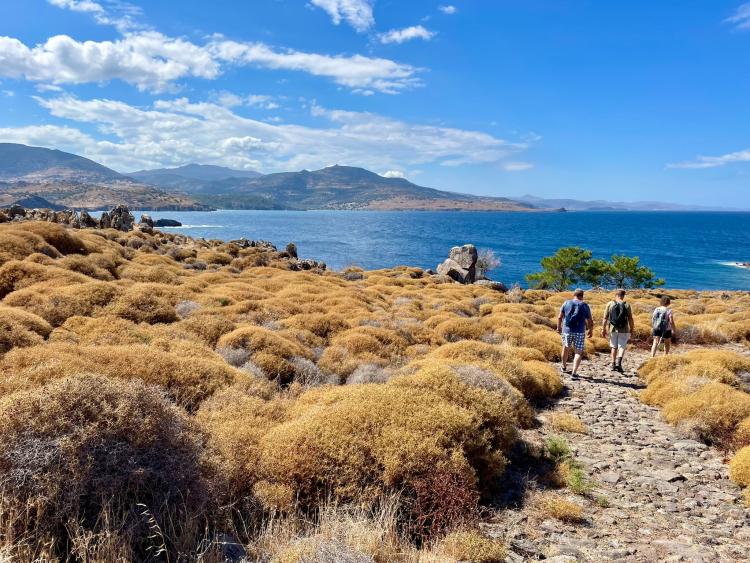 Singlereis Zon, Zee en Strand op Lesbos