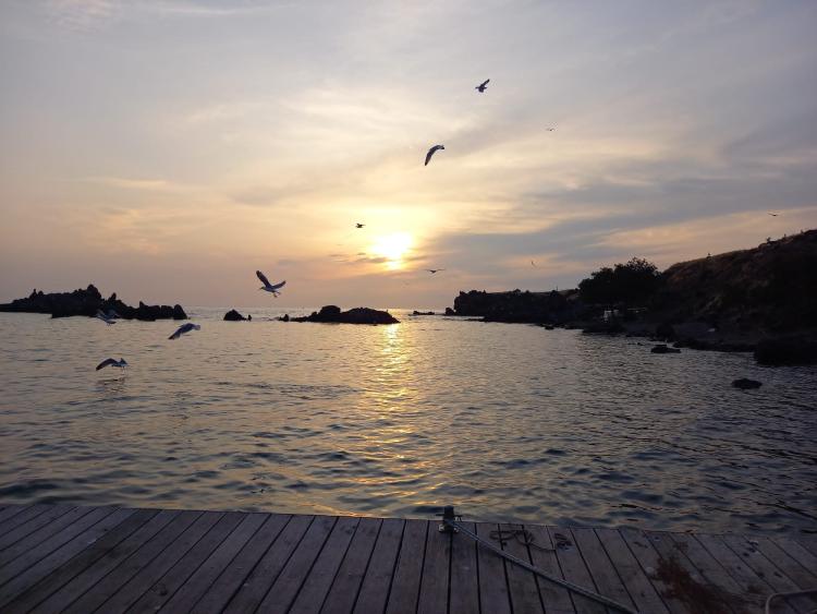 Singlereis Zon, Zee en Strand op Lesbos