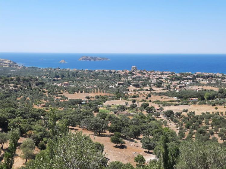Singlereis Zon, Zee en Strand op Lesbos