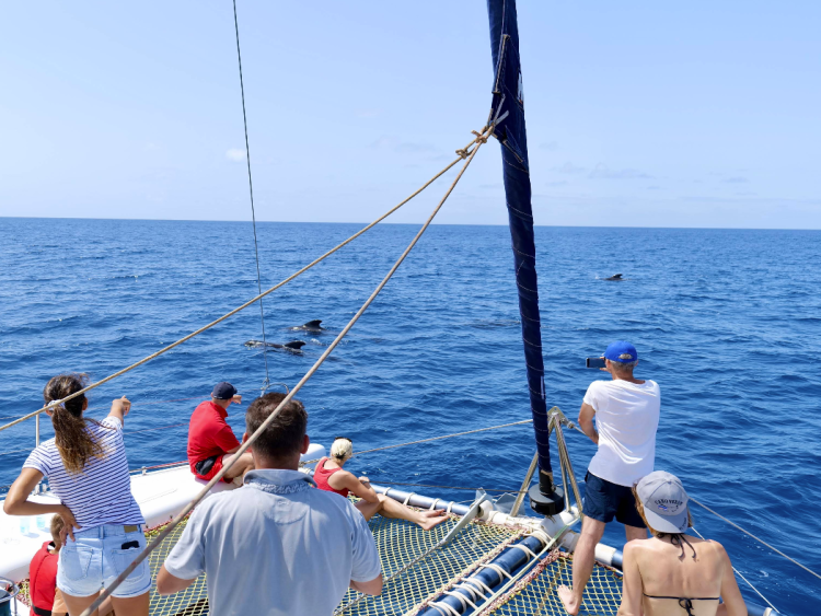 Singlereis Zon, Zee en Strand op Kaapverdië