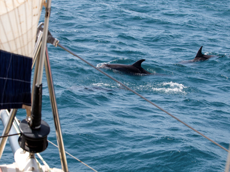 Singlereis Zon, Zee en Strand op Kaapverdië