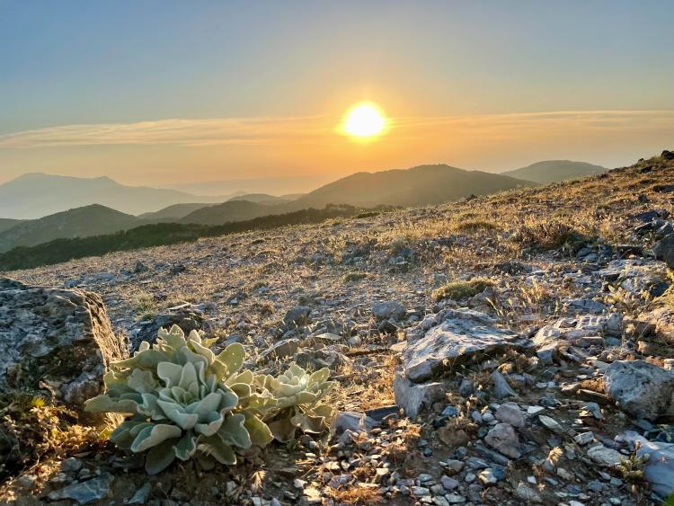Singlereis Zon, Zee en Strand op Samos