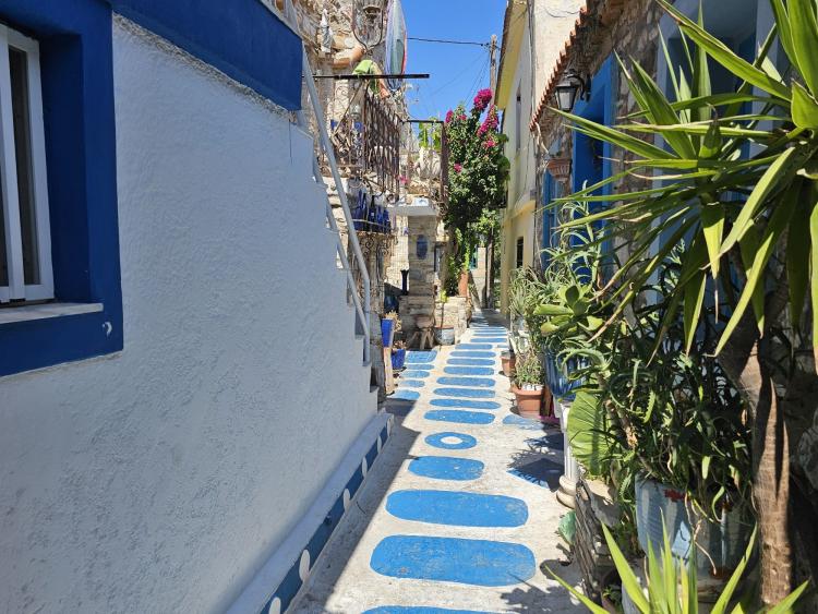 Singlereis Zon, Zee en Strand op Samos