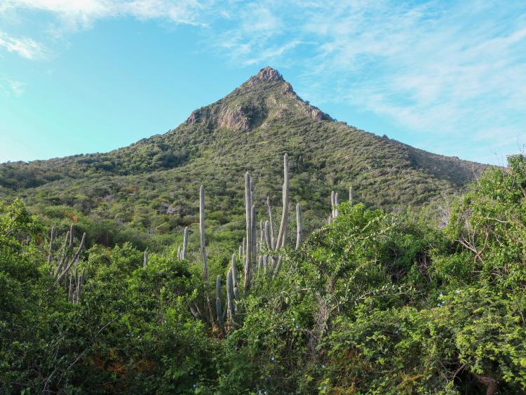 Singlereis Zon, Zee en Strand op Curaçao