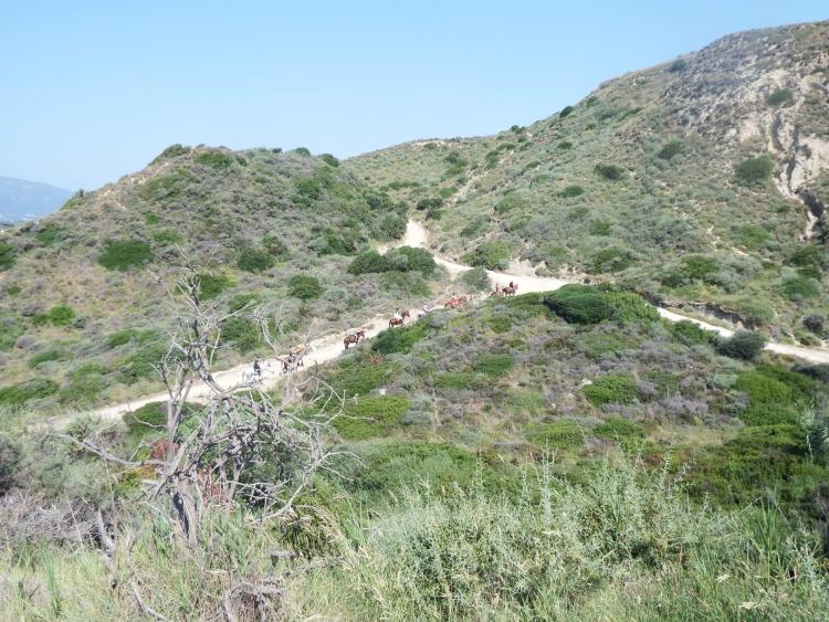 Singlereis Zon, Zee en Strand Op Zakynthos
