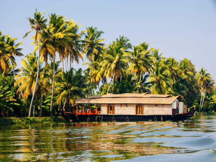 Dag 10: Backwaters – Alappuzha – Kochi