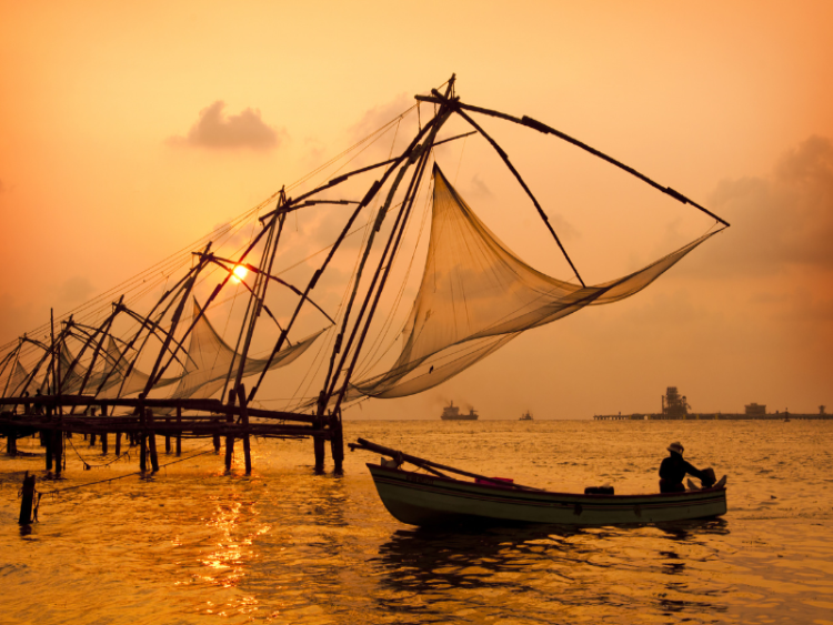 Dag 11: Kochi