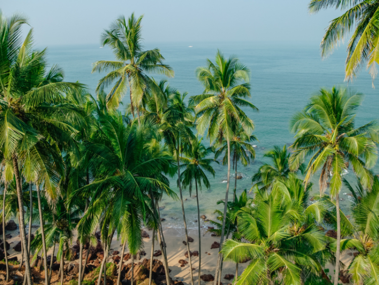 Dag 18: Hospet/Hampi – Goa