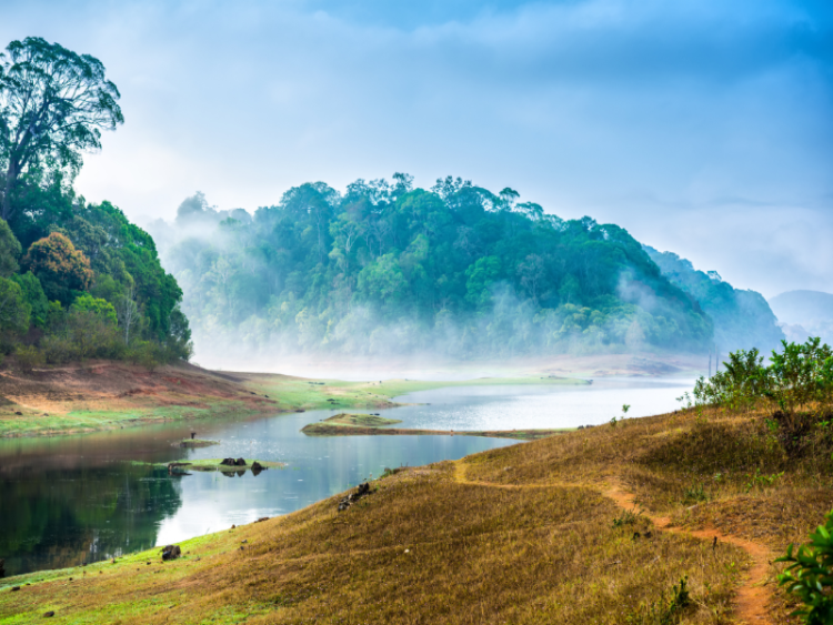 Dag 8: Periyar Nationaal Park