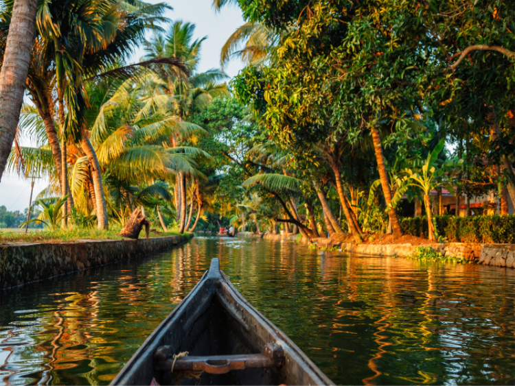 Dag 9: Periyar Nationaal Park – Backwaters