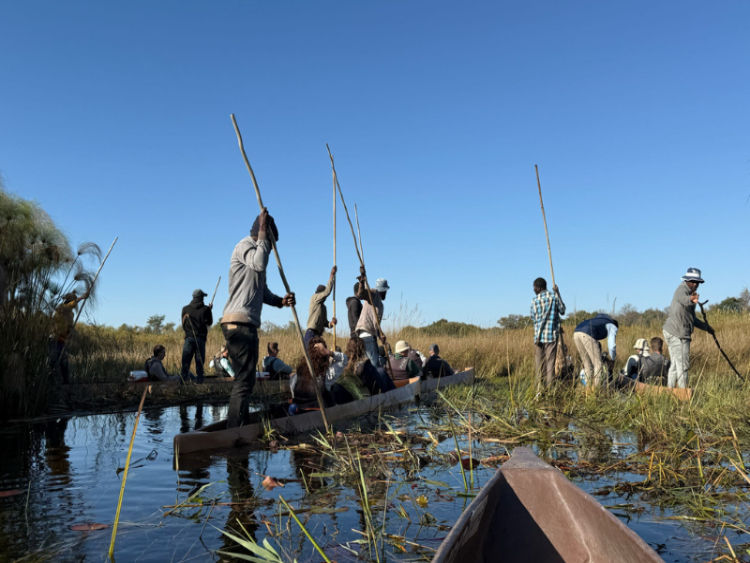 Dag 14 - Okavangodelta