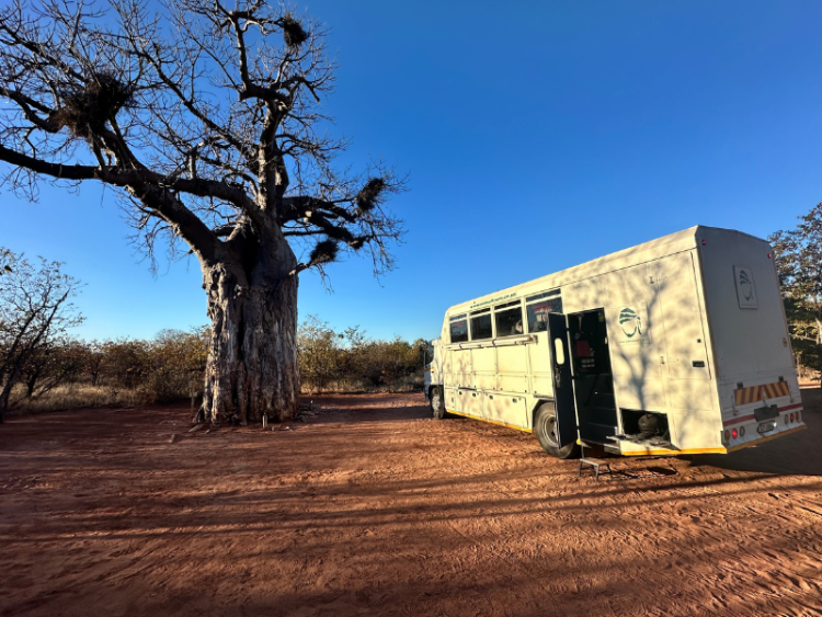 Dag 20 - Bulawayo - Tshipise