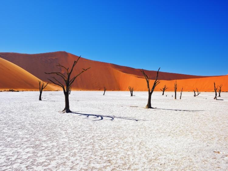 Dag 7 - Sesriem - Swakopmund