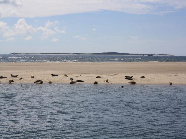 Singlereis Zeilvakantie Op de Waddenzee 