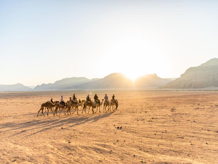 Singlereis Rondreis (HBO-WO) 10 dagen Jordanië