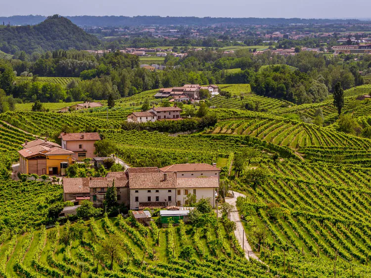 Reis - Afbeelding 3