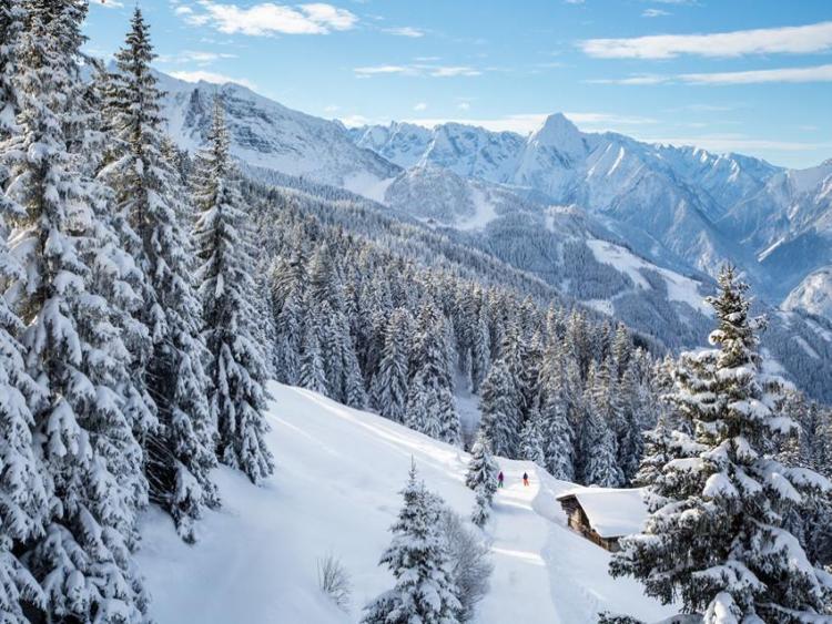 Singlereis HBO+ Wintersport in Karinthië