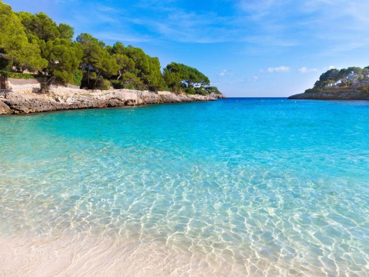 Singlereis Padel-vakantie (HBO-WO) Op Mallorca