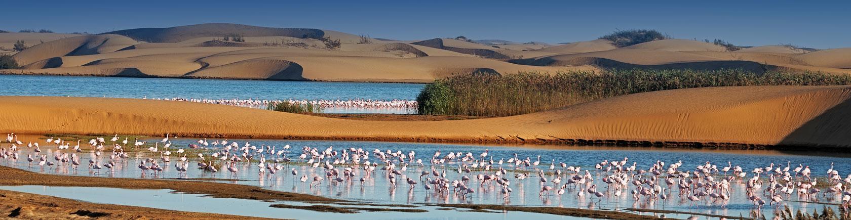 Ontdek Namibië met andere singles