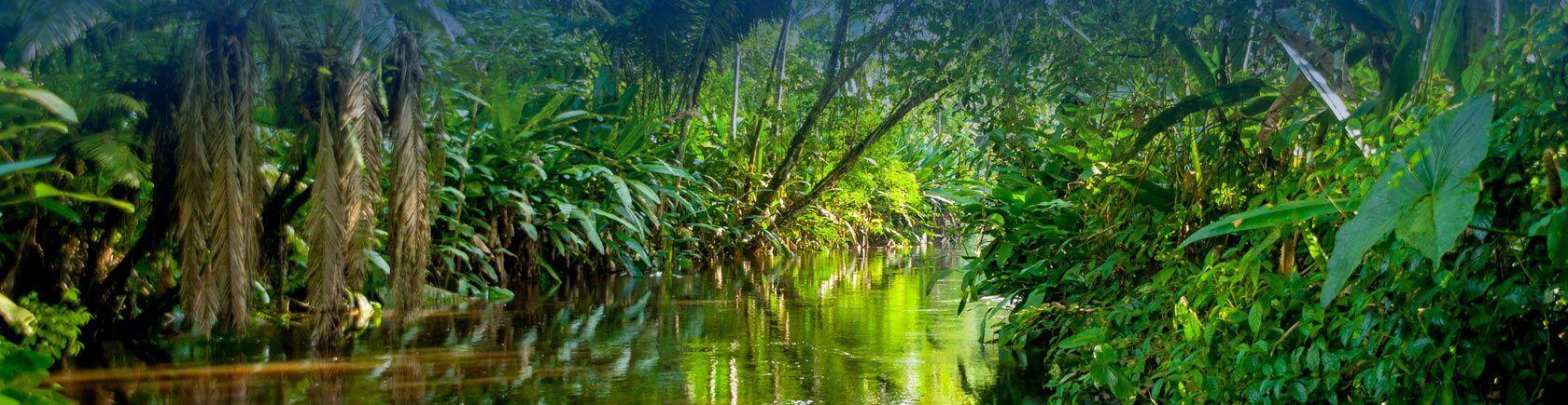Ontdek Costa Rica met andere singles