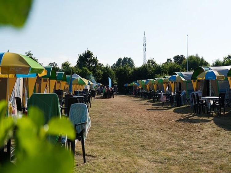 Camping De Duinhoeve foto 3