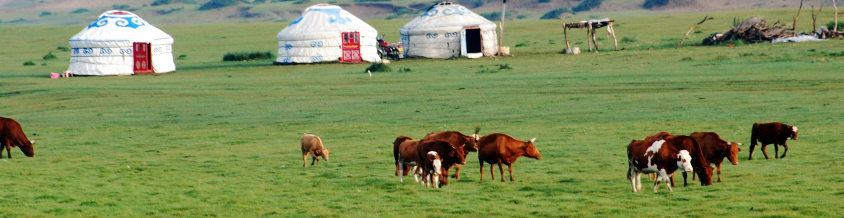 Ontdek Mongolië met andere singles