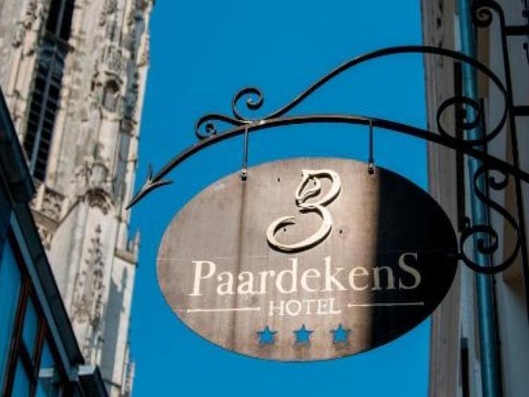 De 3 Paardekens foto 1