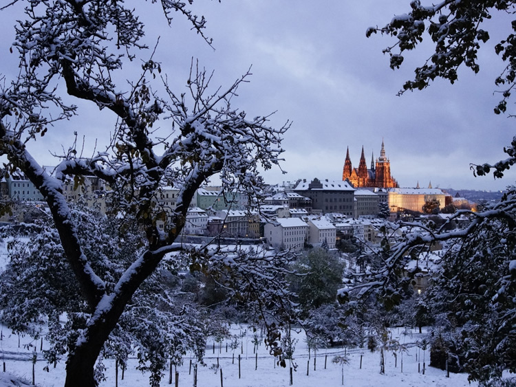 Singlereis Vier de feestdagen in Praag