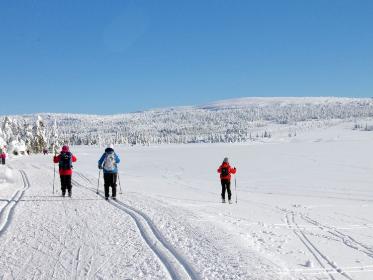 Groepsreis Actieve Winterreis Verrassend Noorwegen