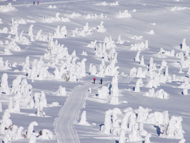 Groepsreis Actieve Winterreis Verrassend Noorwegen