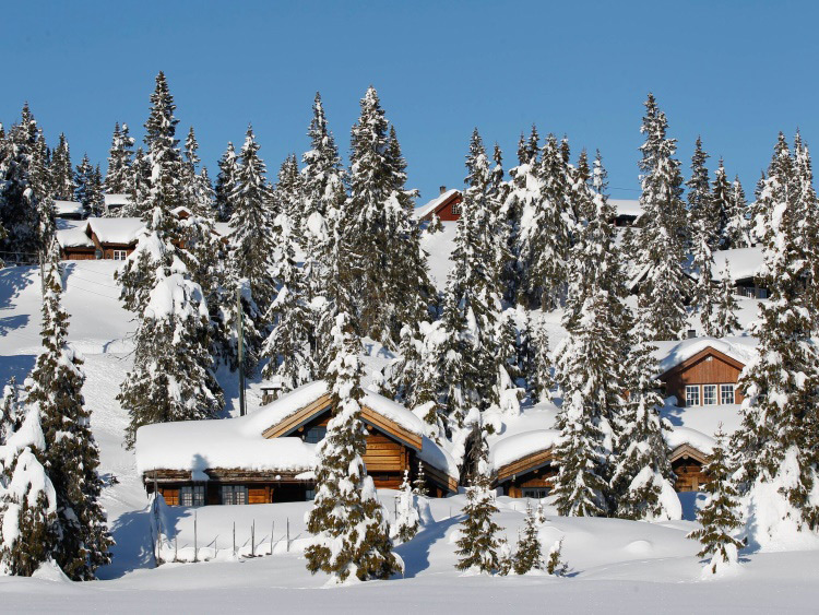 Groepsreis Actieve Winterreis Verrassend Noorwegen
