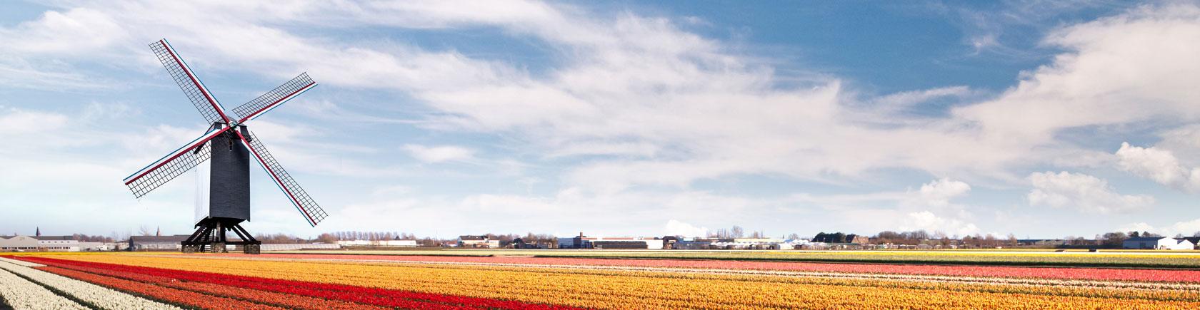Ontdek Nederland met andere eenouders