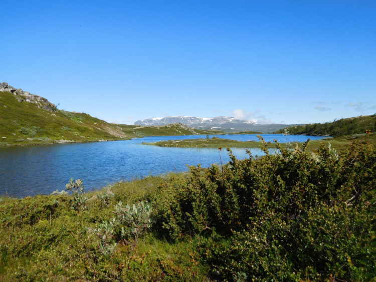 Groepsreis Wandeltrekking Noorwegen