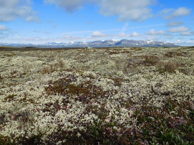 Groepsreis Wandeltrekking Noorwegen