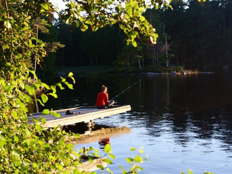 Groepsreis Rondreis Actief in Zweden
