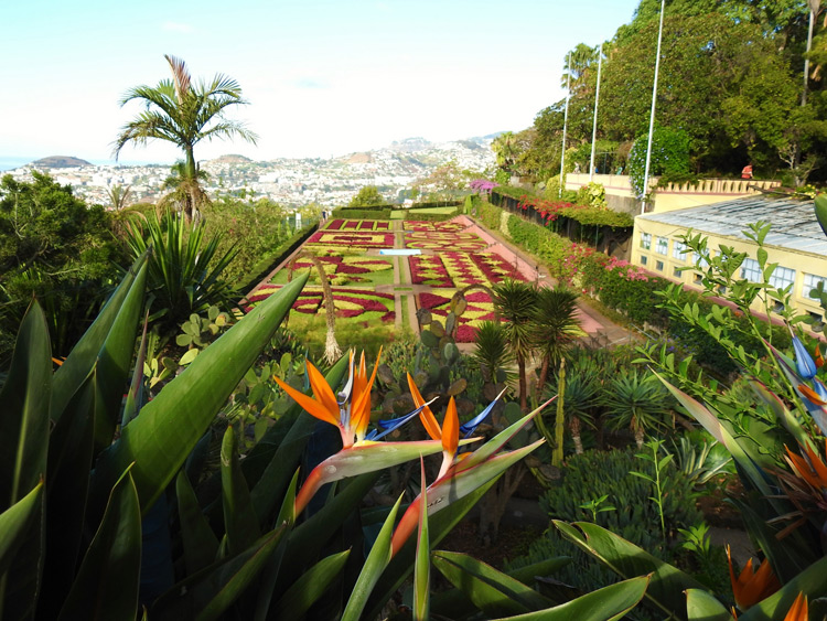 Singlereis Zonnige Kerstdagen op Madeira