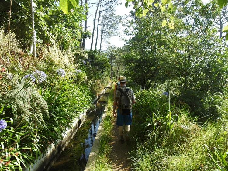 Singlereis Zonnige Kerstdagen op Madeira
